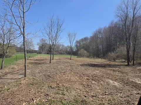 S Baldwin Avenue, White Cloud, MI 49349
