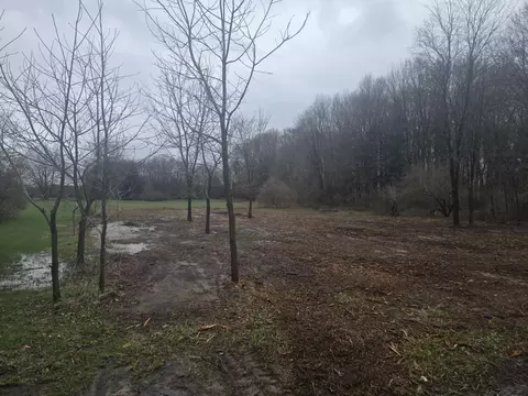 S Baldwin Avenue, White Cloud, MI 49349