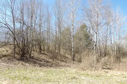 23094 Apache Trl, Evart, MI 49631 photo 2