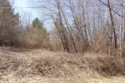 23094 Apache Trl, Evart, MI 49631 photo 6