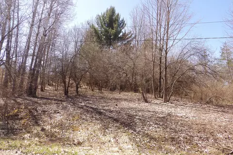 23094 Apache Trl, Evart, MI 49631 photo 5