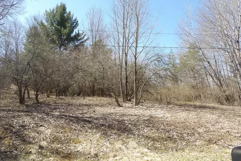 23094 Apache Trl, Evart, MI 49631