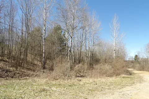 23094 Apache Trl, Evart, MI 49631 photo 3