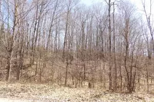 23098 Miramichi Dr, Evart, MI 49631