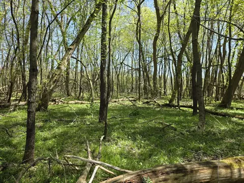 V/l Bellevue, Bellevue, MI 49021