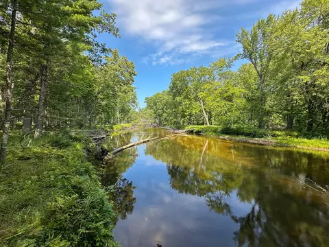 V/l 51.58 Thornapple Trail, Marion, MI 49665