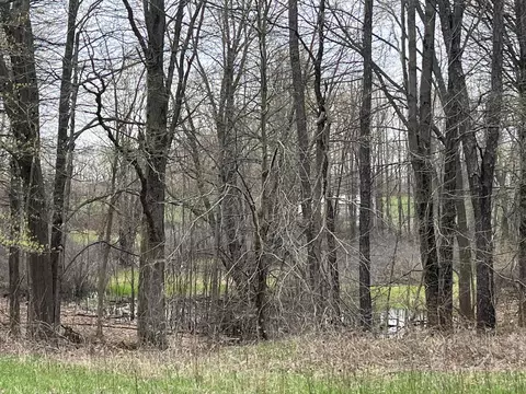 Other - 4785 N Vining Rd, Lakeview, MI 48850 photo 1 of 9
