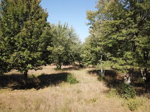 1853 W John Beers Rd, Stevensville, MI 49127