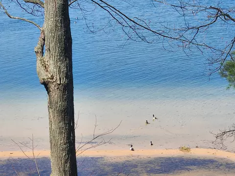 10962 S Minising Ct, Baldwin, MI 49304