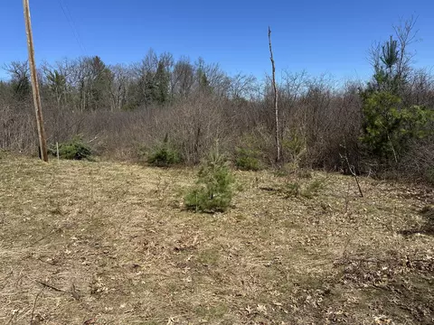 00 S Dillard St, Baldwin, MI 49304 photo 21