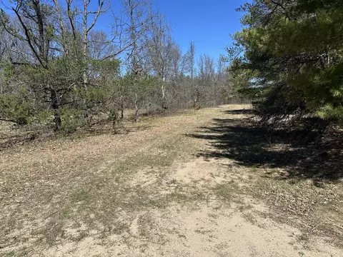 00 S Dillard St, Baldwin, MI 49304 photo 25