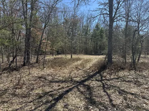 00 S Dillard St, Baldwin, MI 49304 photo 22