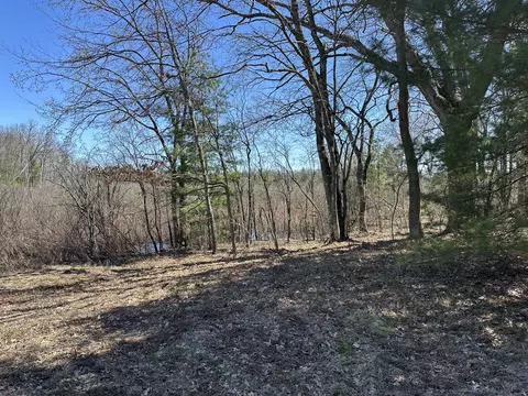 00 S Dillard St, Baldwin, MI 49304 photo 17