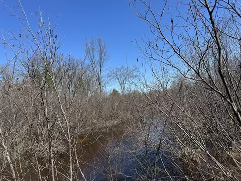 00 S Dillard St, Baldwin, MI 49304 photo 12