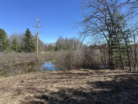 00 S Dillard St, Baldwin, MI 49304 photo 16