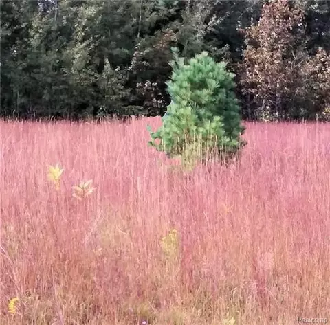 Westwood Drive, Oscoda, MI 48750