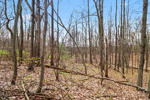 6940 19 Mile Rd NE, Cedar Springs, MI 49319