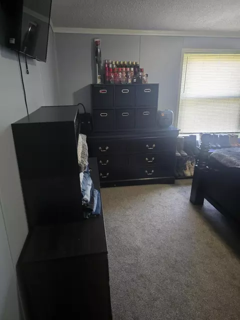 218 E Lake St, Crystal, MI 48818 photo 20