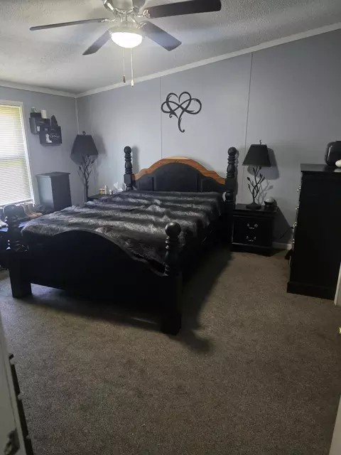 218 E Lake St, Crystal, MI 48818 photo 19