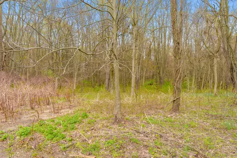 Other - 135 Golfview Dr, Plainwell, MI 49080 photo 7 of 7
