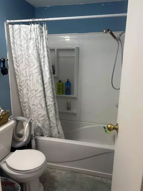 Bath - 228 W Forest St, Edmore, MI 48829 photo 2 of 2