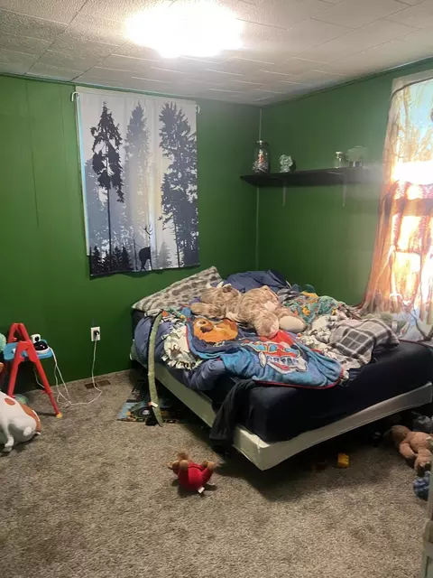 Bedroom - 228 W Forest St, Edmore, MI 48829 photo 2 of 3