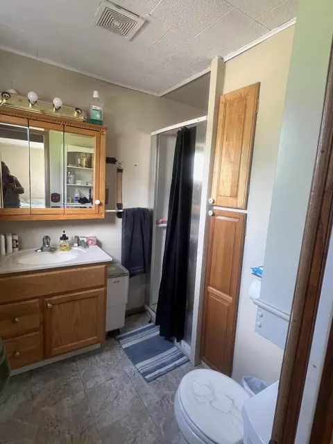 Bath - 228 W Forest St, Edmore, MI 48829 photo 1 of 2