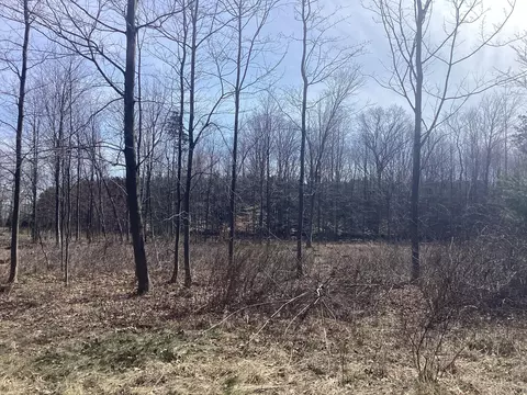 0 N 34th Ave, Mears, MI 49436 photo 8