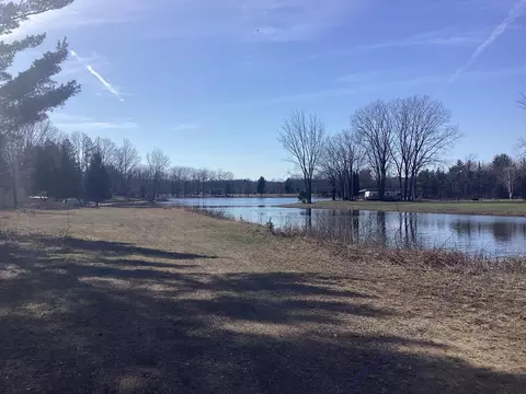 0 N 34th Ave, Mears, MI 49436 photo 7