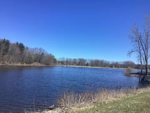 0 N 34th Ave, Mears, MI 49436 photo 21