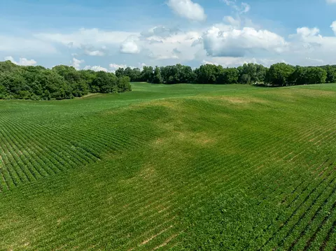 13 Acres 19th St, Hopkins, MI 49328