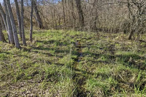 4087 4 Mile Rd, Sears, MI 49679 photo 30