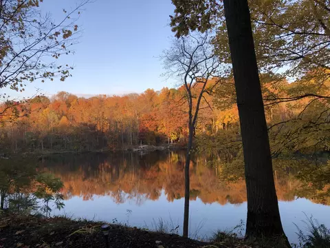 4336 Hills Haven Rd, Buchanan, MI 49107