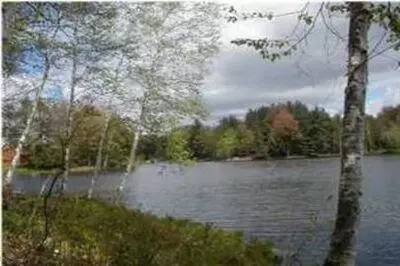 Vl Lot 811 Miramichi Drive, Evart, MI 49631