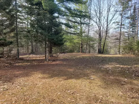 Eagles Nest Way, Gladwin, MI 48624 photo 2