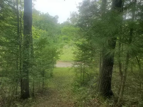Eagles Nest Way, Gladwin, MI 48624 photo 16