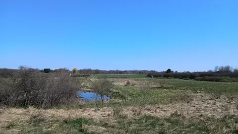 3607 E Hansen Rd, Custer, MI 49405 photo 55