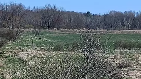 3607 E Hansen Rd, Custer, MI 49405 photo 56