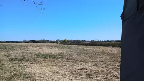 3607 E Hansen Rd, Custer, MI 49405 photo 68