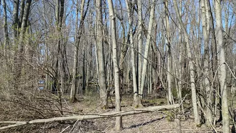 3607 E Hansen Rd, Custer, MI 49405 photo 76