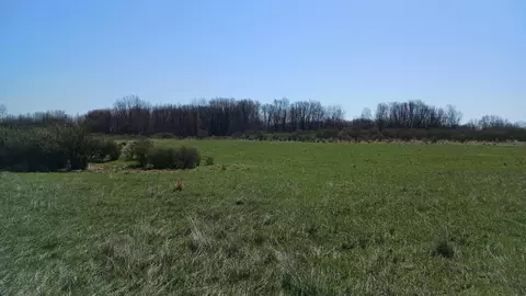 3607 E Hansen Rd, Custer, MI 49405 photo 58