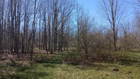 3607 E Hansen Rd, Custer, MI 49405 photo 43