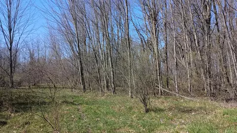 3607 E Hansen Rd, Custer, MI 49405 photo 75