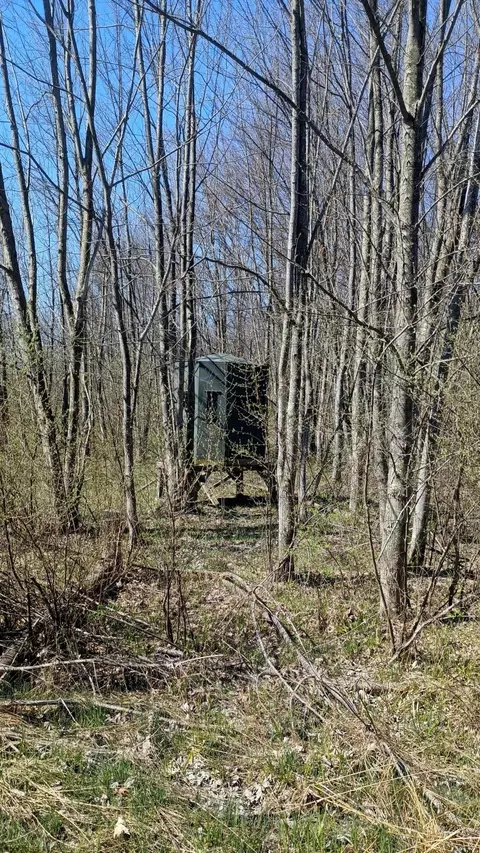 3607 E Hansen Rd, Custer, MI 49405 photo 41