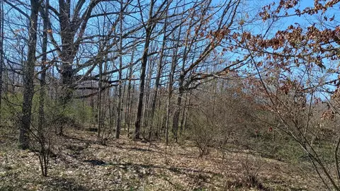 3607 E Hansen Rd, Custer, MI 49405 photo 74