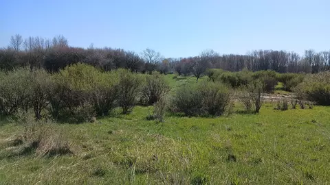 3607 E Hansen Rd, Custer, MI 49405 photo 60
