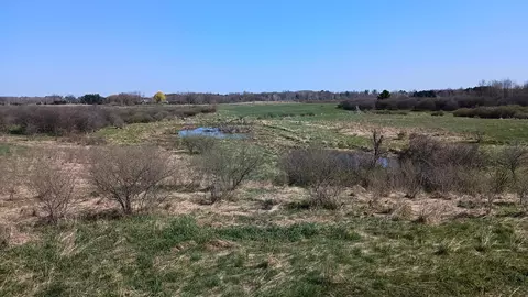 3607 E Hansen Rd, Custer, MI 49405 photo 53