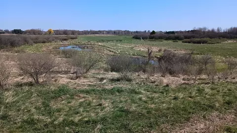 3607 E Hansen Rd, Custer, MI 49405 photo 51
