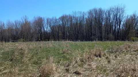 3607 E Hansen Rd, Custer, MI 49405 photo 66