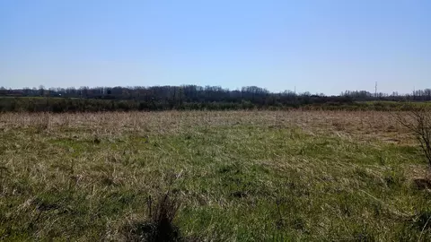 3607 E Hansen Rd, Custer, MI 49405 photo 45